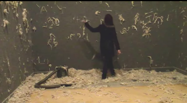 Actividad 1 Museo Vostell