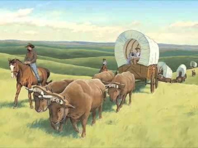 Motivations to Settle West