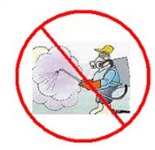 Proibició de les insectisides