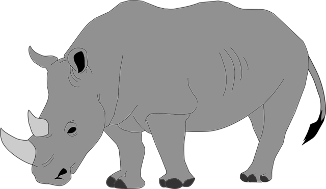 Rinoceronte Negro de África Occidental.