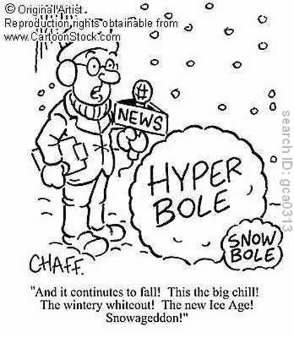 Miami Herald Reports Snow