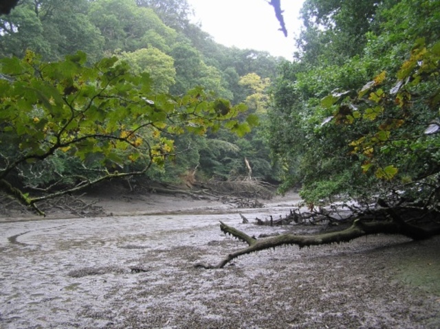 Battle of Frenchman's Creek