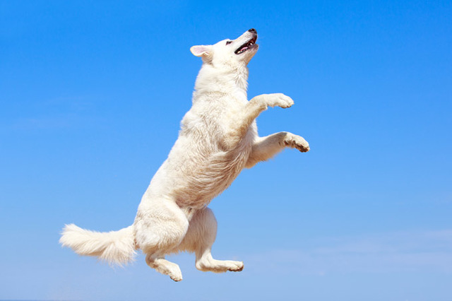 I got a steam accont