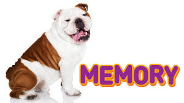 my Fourth year of church camp