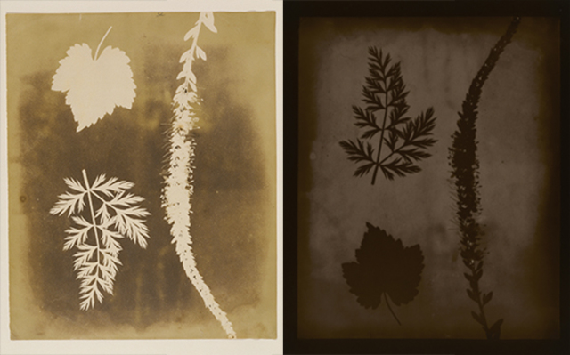 El Calotipo desplaza al Daguerrotipo