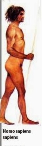 Homo sapiens sapiens