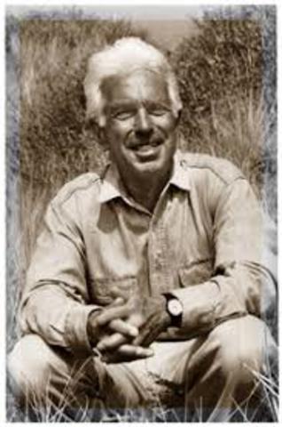 Teoría del Desarrollo organizacional