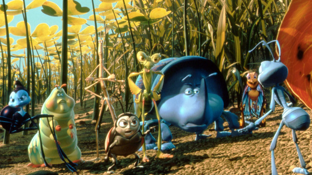 ¿Qué ocurre en la colonia?