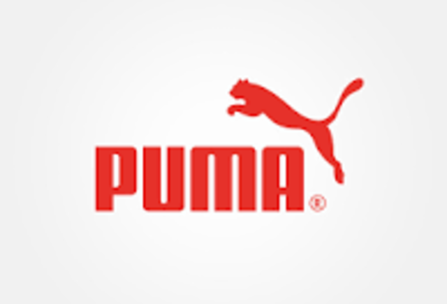 Fundación de Puma