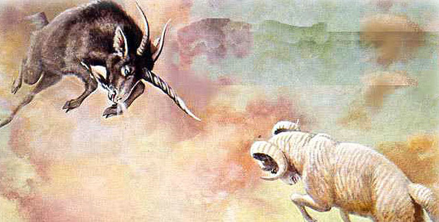 Sueño Carneo y Macho Cabrio