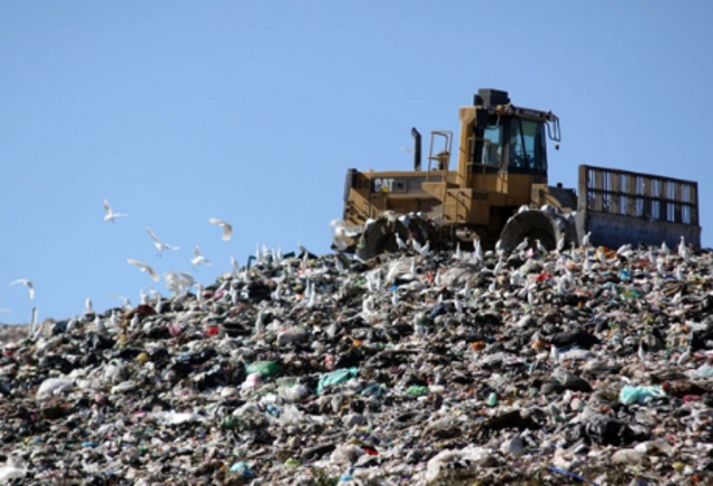 Generación de 288.3 Ton de residuos sólidos