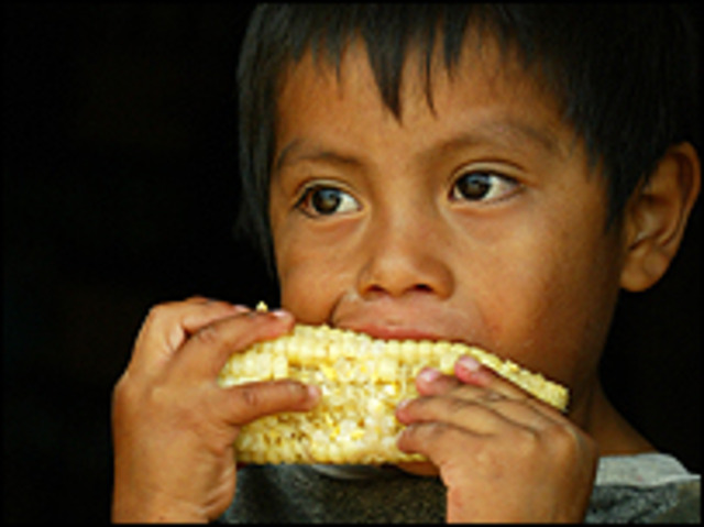 EVOLUCION DEL PACIENTE