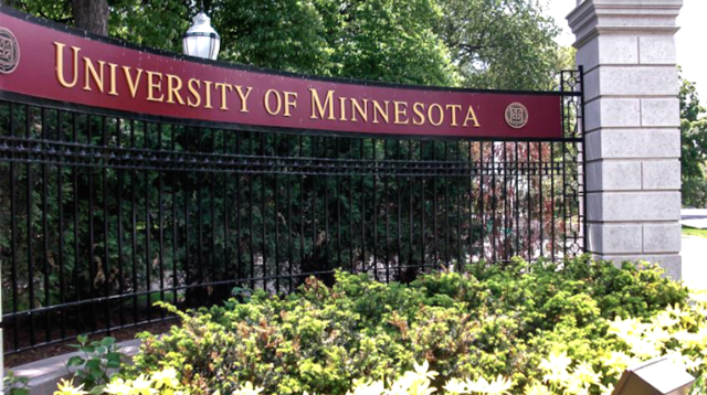 Trabajo como profesor en la universidad de Minnesota