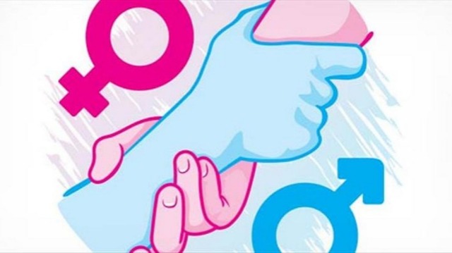 Modelo Biográfico- Profesional- Democrático