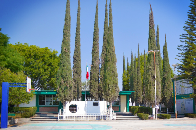 Educación Media Superior