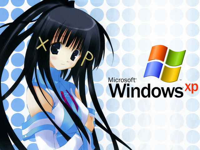 Windows XP