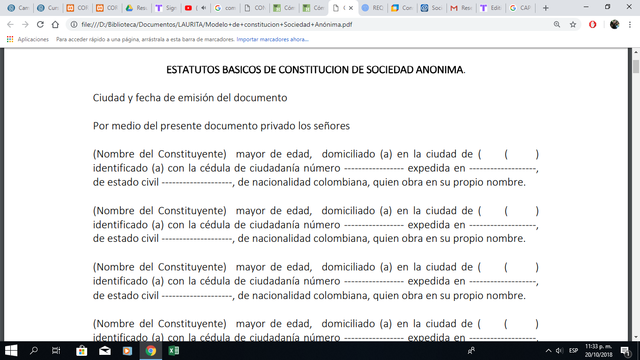 DEFINIR LOS ESTATUTOS