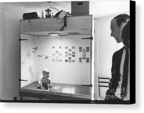 Diseña la Baby in a Box