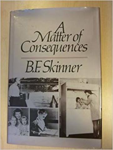 Autobiografia tercera entrega: A matter of consequences