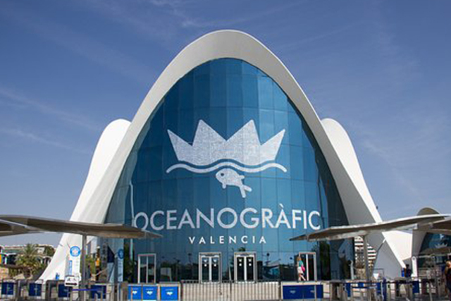 Special summer holidays (Oceanografic)