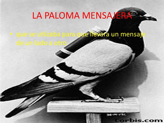 Palomas Mensajeras