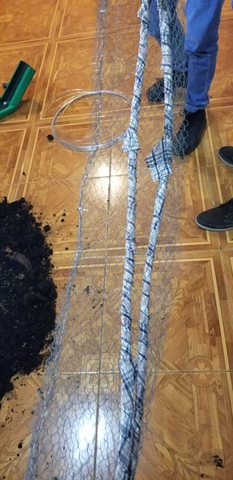 Instalacion del riego en la estructura