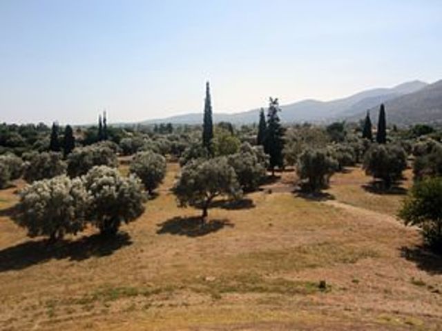 Victoria de Maratón