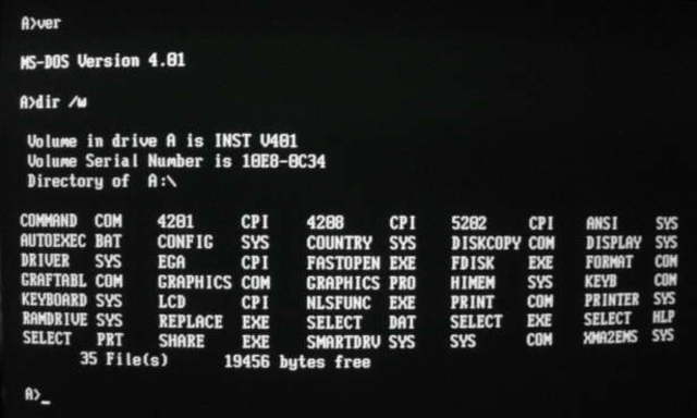 MS-DOS (Microsoft Disk Operating System)