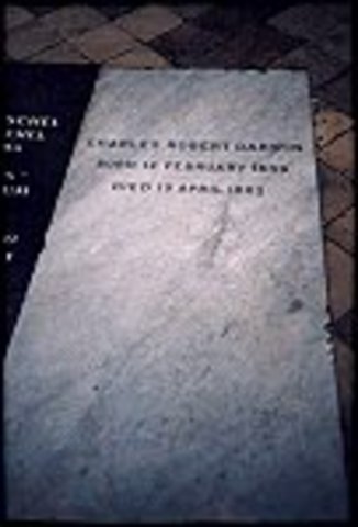 Darwin's Death