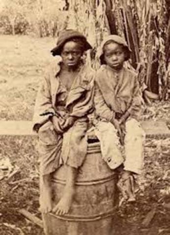 Virginia Law regarding children of slaves