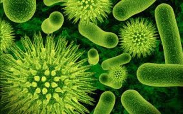 LA SEGUNDA LLUVIA DE METEORITOS