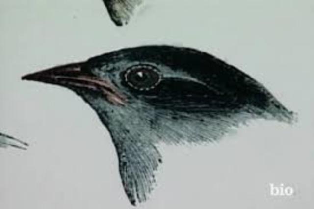 The Death of Charles Darwin