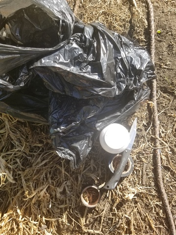 Materiales para realizar el acodo aereo.