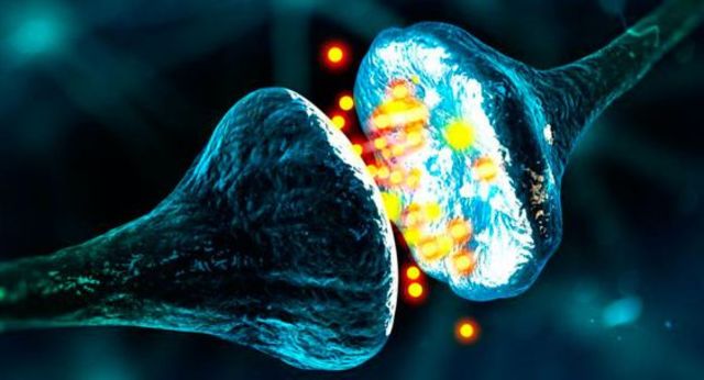 Potencial de acción