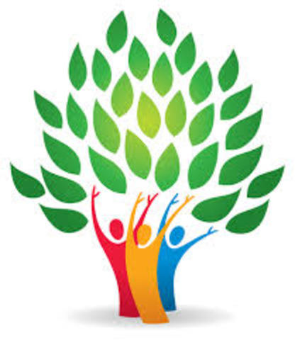 Healthy Organizations