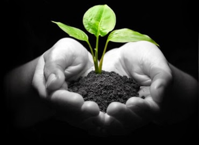 Conferencia de las Naciones Unidas sobre el Medio Ambiente y el Desarrollo.