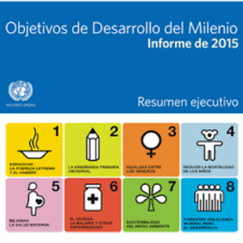 Cumbre de las Naciones Unidas sobre los Objetivos de Desarrollo del Milenio