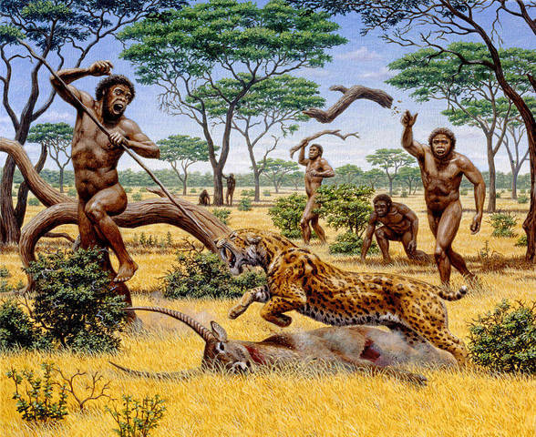 Apareixen els primer homínids