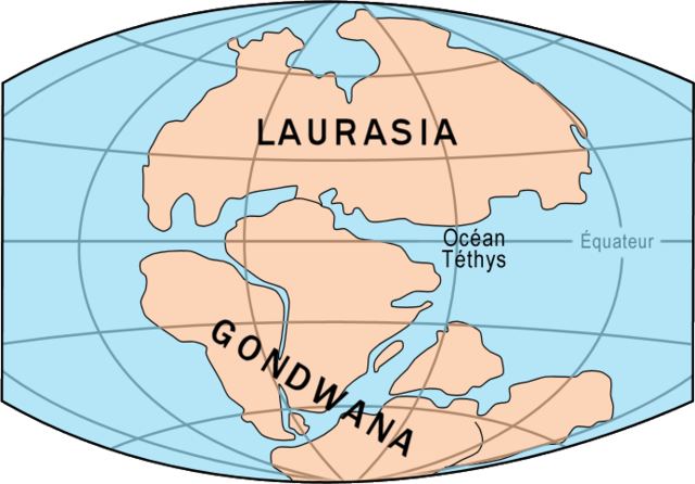 Fragmantació Pangea