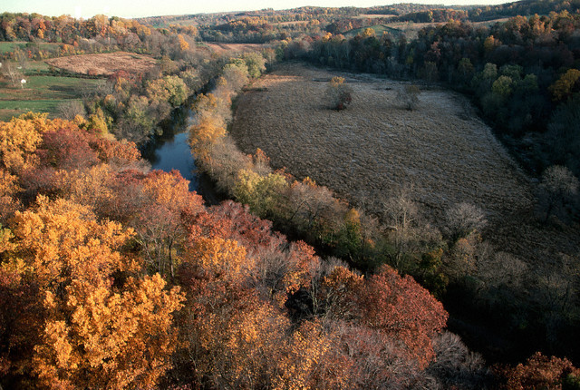 Battle of Brandywine