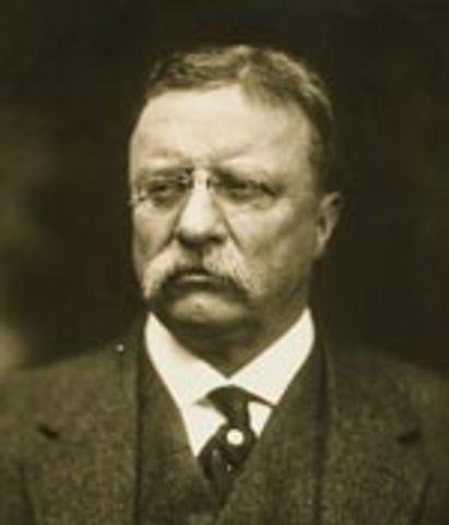 President Theodore Roosevelt