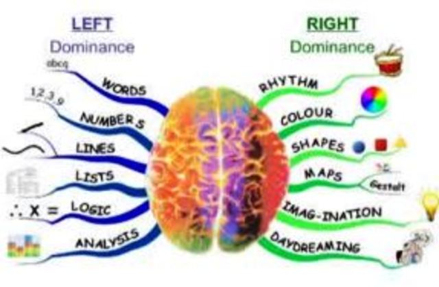 Estructura de la inteligencia
