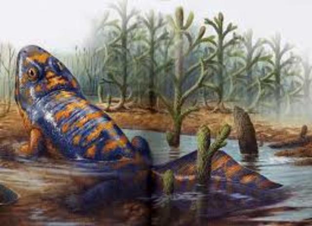 Conquista de la terra