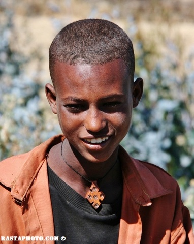 Haileab moved to Tigray