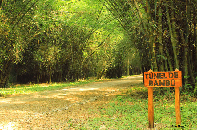 Fundación del Parque botánico lancetilla