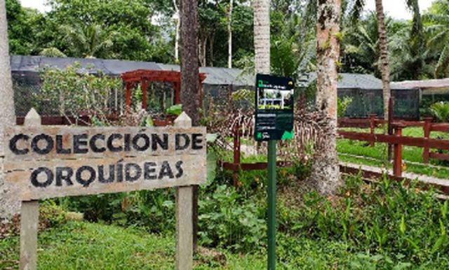 Colecciones y Equipamientos