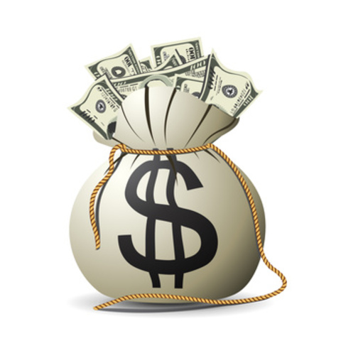 Parliament gets "power of the purse"