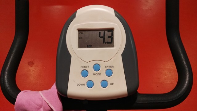 Primer día de gimnasio con Paula cotilla