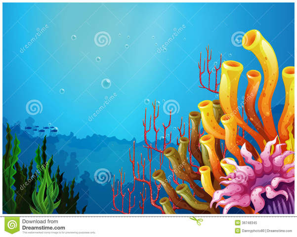 Creació ciutat marina