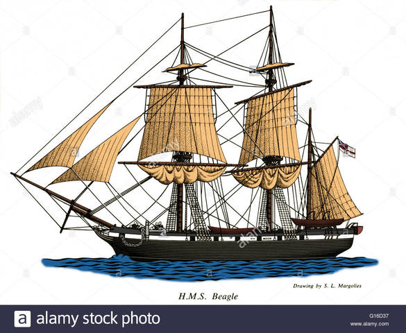 Charles Darwin's Ship, the HMS Beagle, Sets Sail
